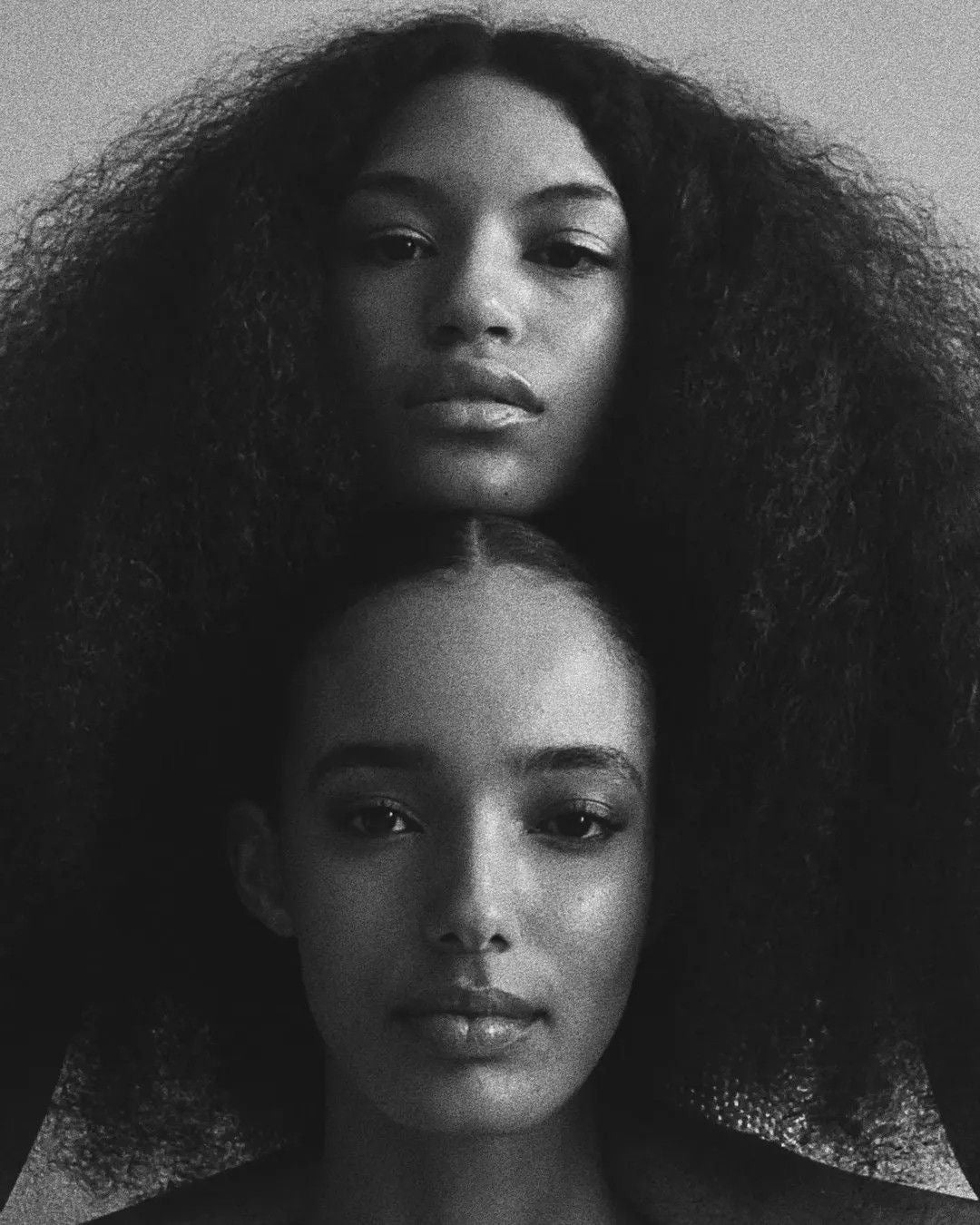 How to Moisturise Curly and Coily Hair: The Complete Guide for 2026